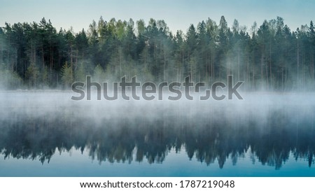 Cold summer morning in the forest with lake, forest reflection and mist on the water surface. Royalty-Free Stock Photo #1787219048