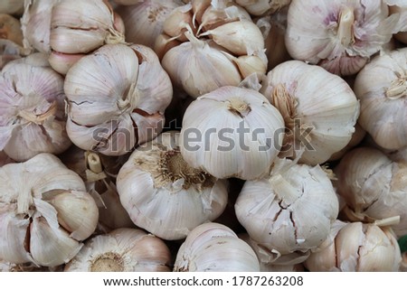 Garlic Vegetable Market Food Images & Pictures 