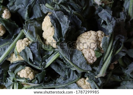 Cauliflower Vegetable Market Food Images & Pictures 