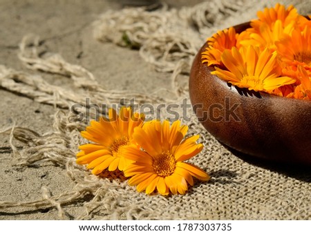 Two marigold flowers and a wooden bowl with marigold flowers on a burlap background