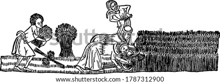 Two women bent over using sickles to cut the grain and another man stands behind them, gathering the reaped grain. He has a sickle tucked in his belt, vintage line drawing or engraving illustration  Royalty-Free Stock Photo #1787312900
