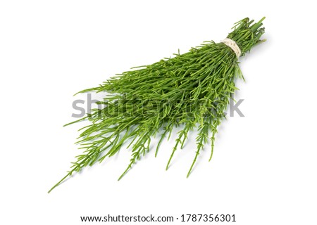 Bouquet of fresh green field horsetail twigs isolated on white background Royalty-Free Stock Photo #1787356301