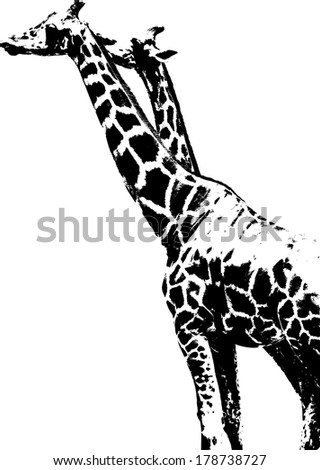 Vector silhouette of Giraffe scientifically known as Giraffa Camelopardalis. 