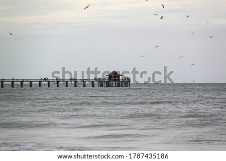 
Image of a pier on Miami beach with birds flying over