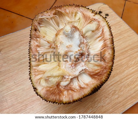 Vertically cut section of Jackfruit. 