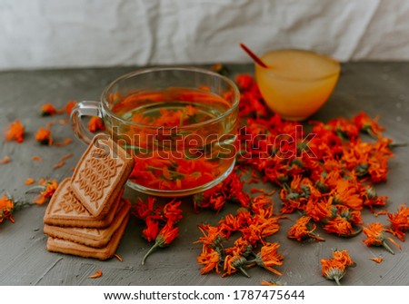 Tea with calendula flowers and biscuits. Transparent glass cup and saucer. Medicinal herbal dried plants marigold, orange calendula. Neutral white and gray background.