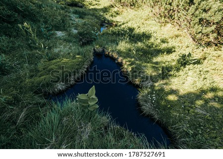 A river running through a grassy area with trees in the background