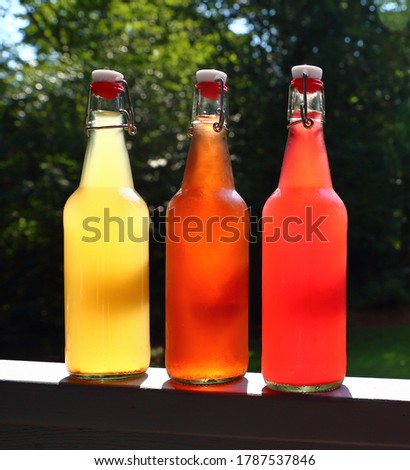 Swing Top Bottles of Home Brewed Kombucha