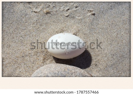 Egg from Wild Duck Found on the Baltic Sandy Beach Postcard