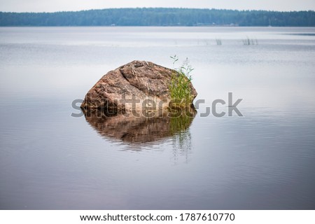 Granite shaft reflected in the water with a rope growing nearby