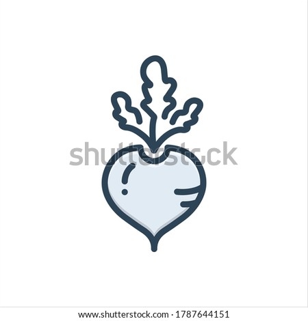Vector colorful illustration icon for turnip Royalty-Free Stock Photo #1787644151