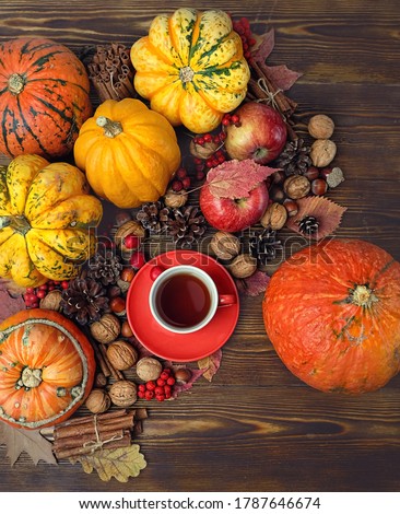 autumn cozy composition. pumpkins, apple, nuts and tea cup on wooden table. fall harvest season, thanksgiving holiday background. Flat lay. 