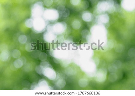 Green bokeh nature abstract background