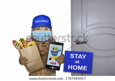 The cat courier in a protective mask with food and a smartphone is near a door with sign that says stay at home. White background. Isolated.