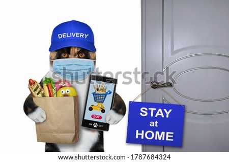 The cat courier in a protective mask with food and a smartphone is near a door with sign that says stay at home. White background. Isolated.