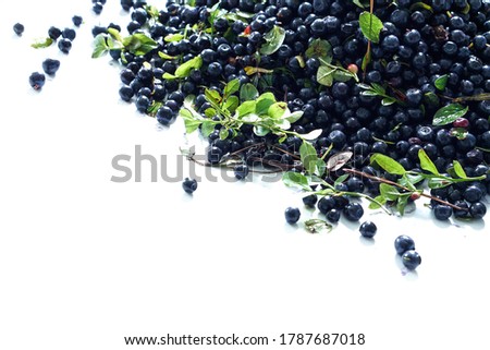 Bunch of blueberries with leaves from forest on white background Summer vitamins Photo