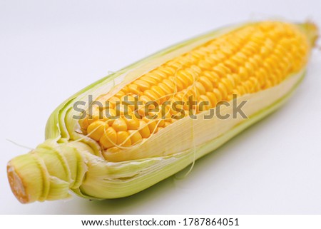 This is a picture of fresh corn.