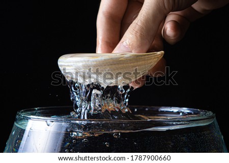A hand pulls a seashell out of the water. Creative photo of a seashell. Photo on black background