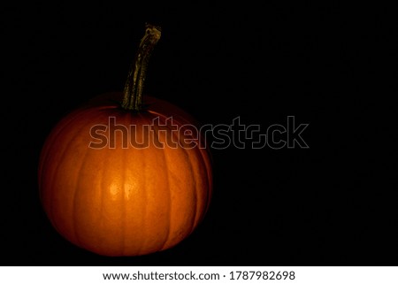                              Pumpkin in darkness. Halloween mood.  
