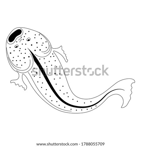 
Stylized catfish fish. Ancient Greek or Roman vase painting motif. Black and white linear silhouette.