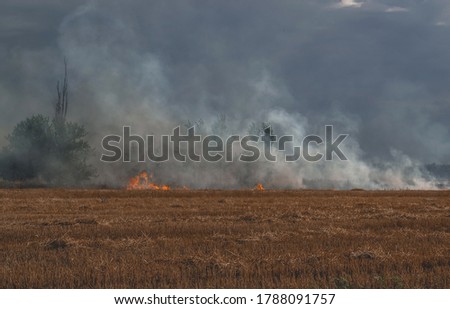 A fire in a wheat field, a smoky field