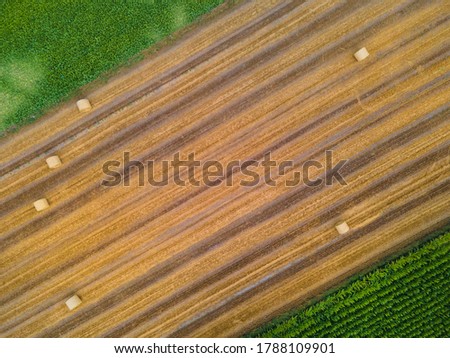 Bales of hay on the field after harvest shot by drone. Aerial drone photo of Poland country