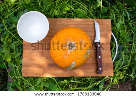 autumn decorative pumpkin and knife on a wooden board at the farm. Halloween and Thanksgiving concept.  How to make jack-o-lantern at home - step by step. step 1.  Royalty-Free Stock Photo #1788133040