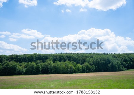 nature view with green meadow, blue sky and mixed forest