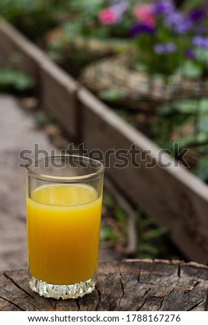 Orange juice in a clear glass on a stump in the backyard