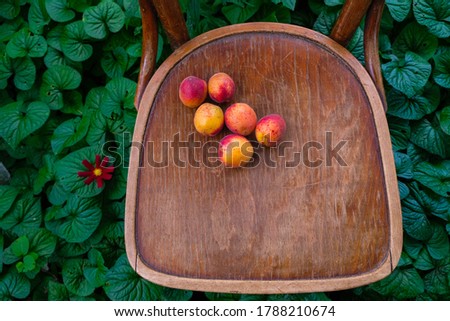 Ripe peaches lie on a vintage wooden chair. Dark photo. Copy space.
