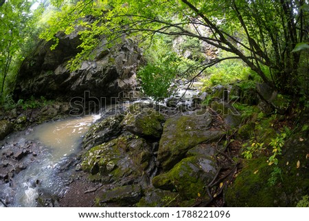 forest river in the mountains