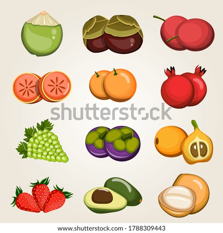 Collection of fresh, organic colorful fruits - Vector illustration