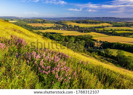 Morning has broken over Harting Downs West Sussex south east England Royalty-Free Stock Photo #1788312107