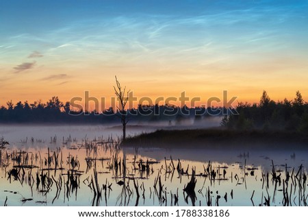Noctilucent clouds in a Dutch landscape