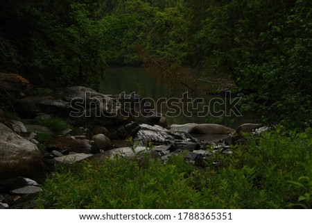 A Small lake in the deep woods