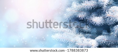 Horizontal Christmas background with branch of fir tree. Holiday xmas banner with pine on abstract backdrop. Copy space for text. Photo toned in blue color