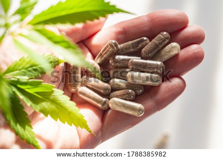 Agronomist or pharmacist holds a hemp plant and medical capsules with medicine or dietary supplements in his hand