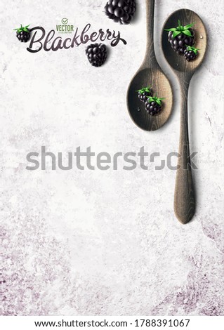Vector realistic blackberry illustration, wooden spoon and leaves on white stone background