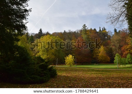 Autumn drawing in parks and forests of the Czech Republic and Germany.