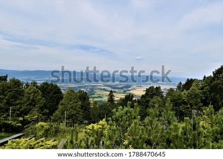 View of the mountains in summer