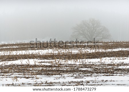 Countryside agricultural field under the gloomy sky in a thick fog. Fresh snow on the ground. Germany. Dark tree silhouettes. Concept art, graphic minimalism, ecology, global warming