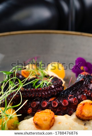 Grilled Octopus appetizer food concept. Seafood meal Octopus tentacle fried. Restaurant dish. Close-up