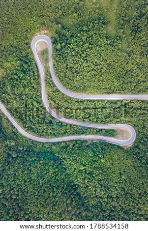 Aerial top down view drone image of curvy mountain road asphalt with serpentine trough trees green forest in day summer taken in Serbia Tresibaba Knjazevac Balkans - nature travel concept