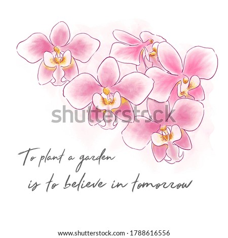 Hand drawn watercolor illustration of tropical flower of Phalaenopsis Schilleriana orchids isolated on white background. National flower of Singapore. Colorful orchid for spring summer. Greeting card.