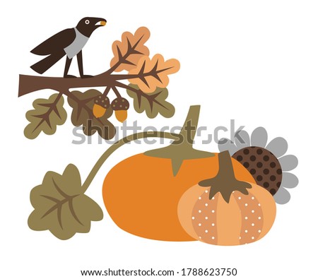 
Two pumpkins , sunflower, crow and oak branch. Vector illustration . Isolated drawing on a white background.
