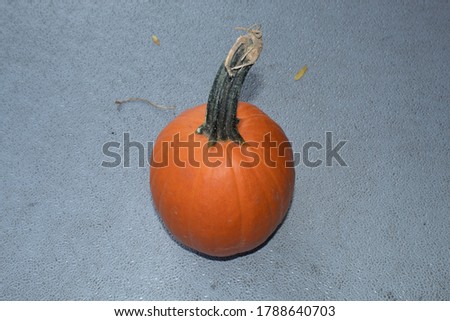 A Whole Pumpkin Isolated For A Festival