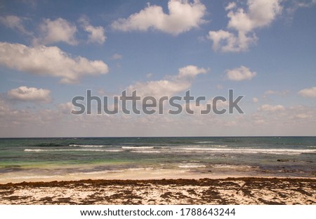 Remote tropical beach. The white sand shore, sargassum gulfweed, emerald color ocean and sea waves under a beautiful blue sky.