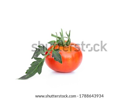 close up of red tomato with green leaves isolated on white background.  