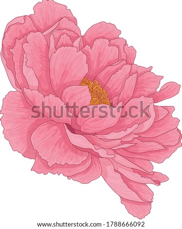 Realistic pink peony flower template. Colorful chinese rose vector illustration for games, background, pattern, decor. Print for fabrics and other surfaces. 