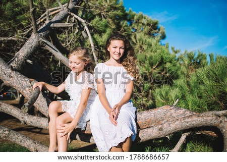 Positive smiling little girls in trendy dresses sitting together on branch of coniferous tree and resting while spending day in park